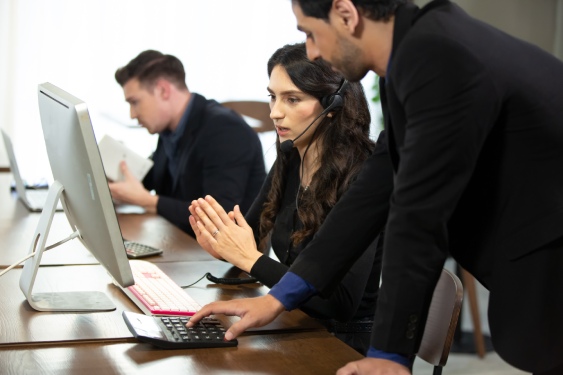 IT Consulting