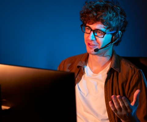 IT Consulting